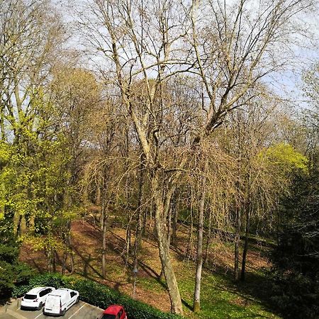 Chambre D'Hote Au Parc Des Thibaudieres Boussy-Saint-Antoine Extérieur photo