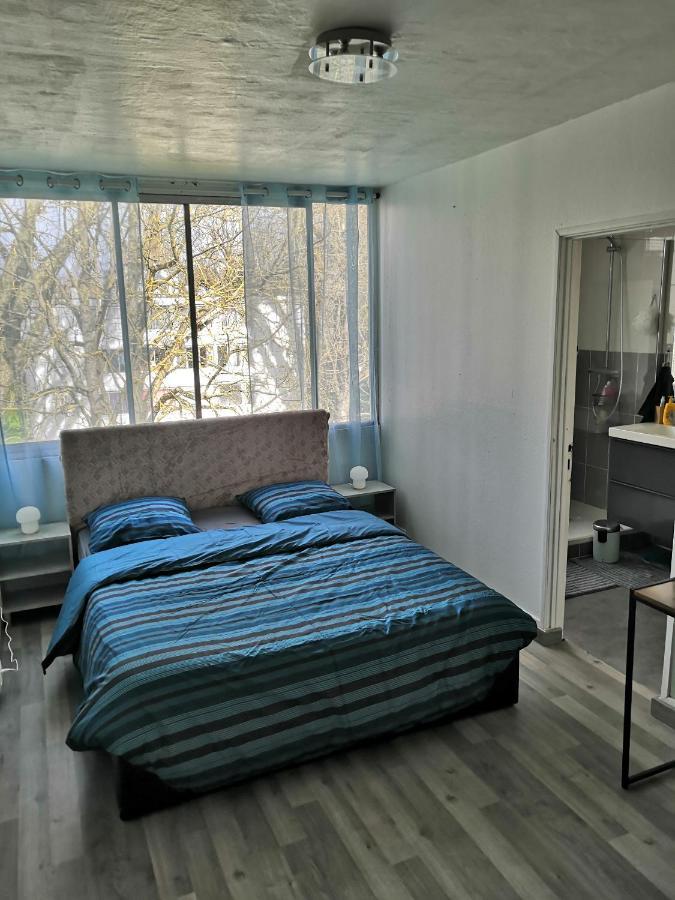 Chambre D'Hote Au Parc Des Thibaudieres Boussy-Saint-Antoine Extérieur photo